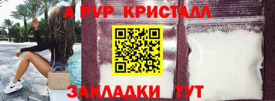СК Бийск
