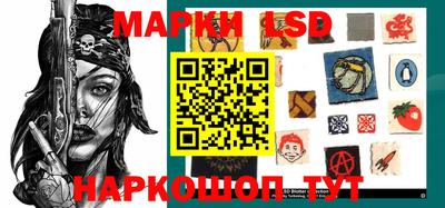 СК Бийск