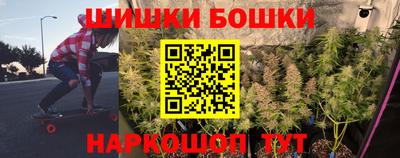 СК Бийск