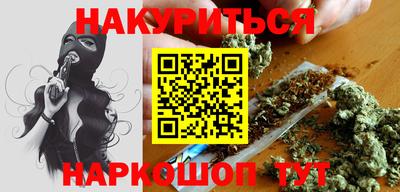 СК Бийск
