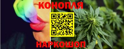 СК Бийск