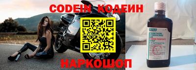СК Бийск