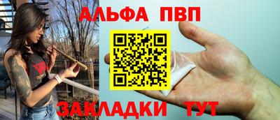 СК Бийск