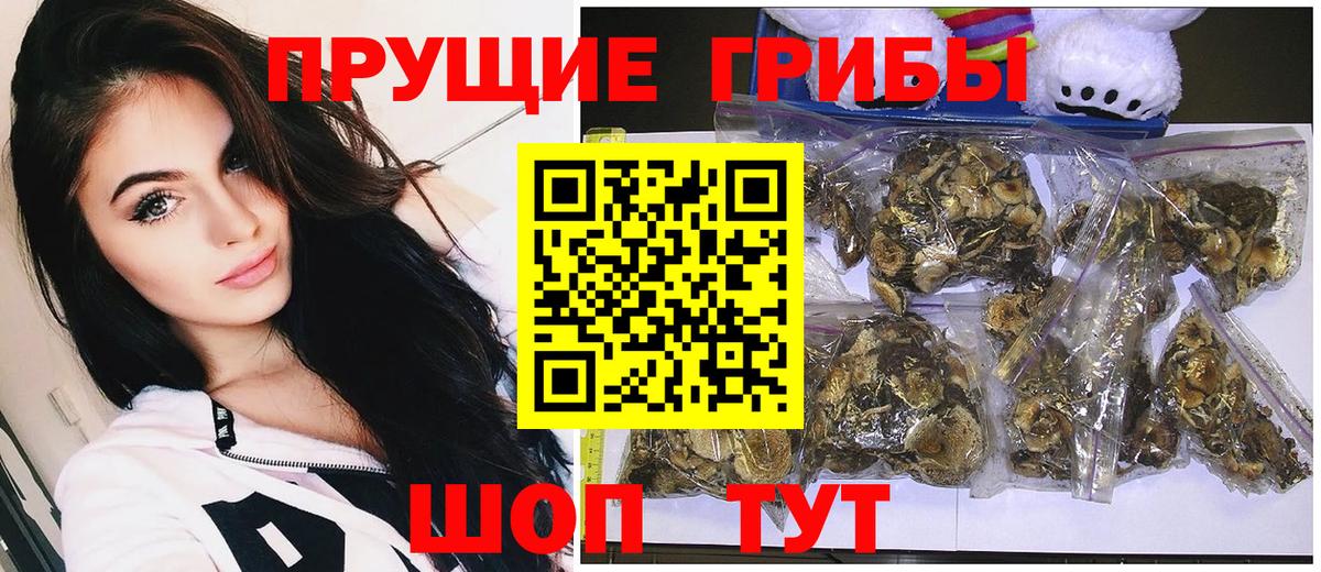 Карпинск  Галлюциногенные грибы мицелий  Вход с VPN 