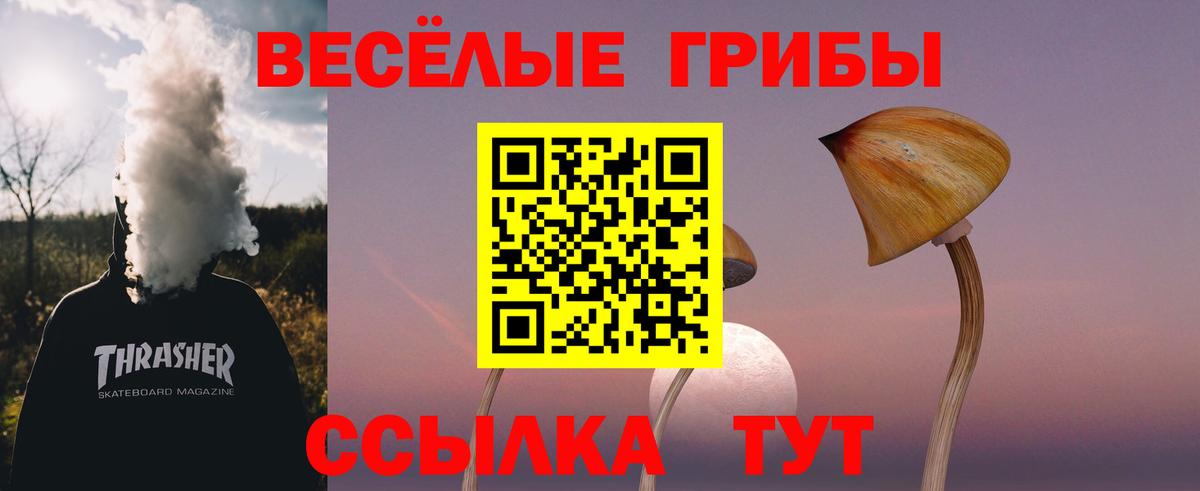 Псилоцибиновые грибы Cubensis Карпинск
